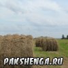 pakshenga_2011_66_ 